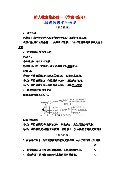 新人教生物必修一(学案+练习)细胞的吸水和失水