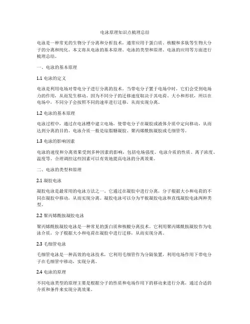 电泳原理知识点梳理总结