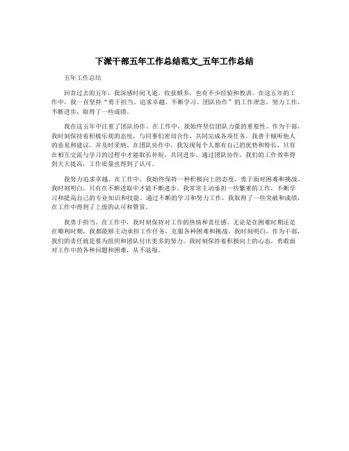 下派干部五年工作总结范文_五年工作总结