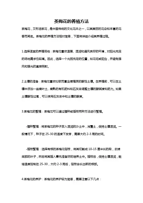 茶梅花的养殖方法