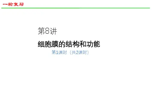 2025届高三生物一轮深度复习课件10：细胞膜的结构与功能(共23张PPT)