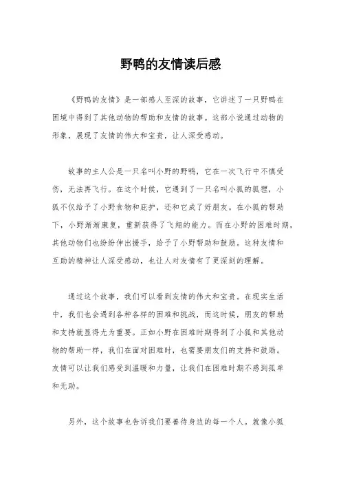 野鸭的友情读后感