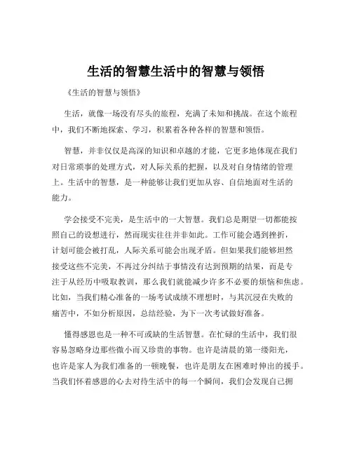 生活的智慧生活中的智慧与领悟