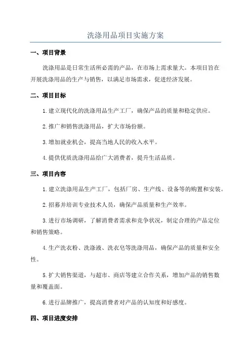 洗涤用品项目实施方案