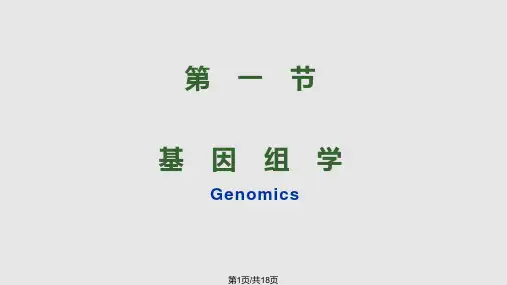 第23章基因组学PPT课件