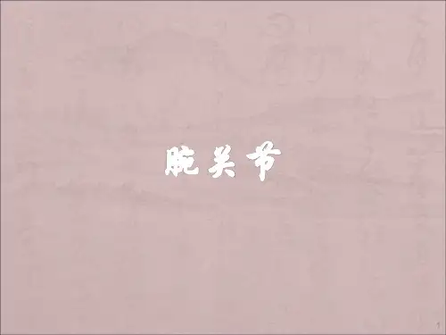 腕关节解剖ppt课件