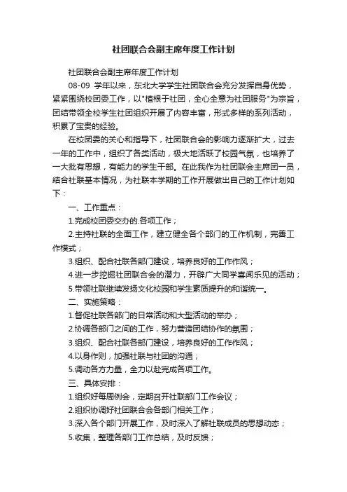 社团联合会副主席年度工作计划