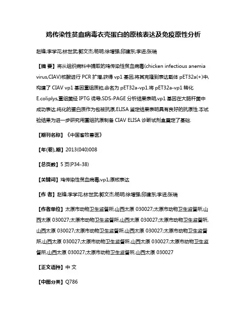 鸡传染性贫血病毒衣壳蛋白的原核表达及免疫原性分析