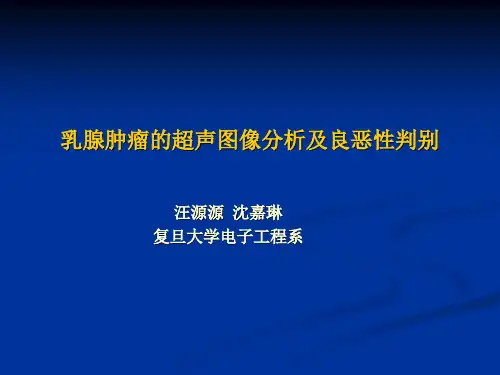 10_乳腺肿瘤的超声图像分析及良恶性判别.ppt