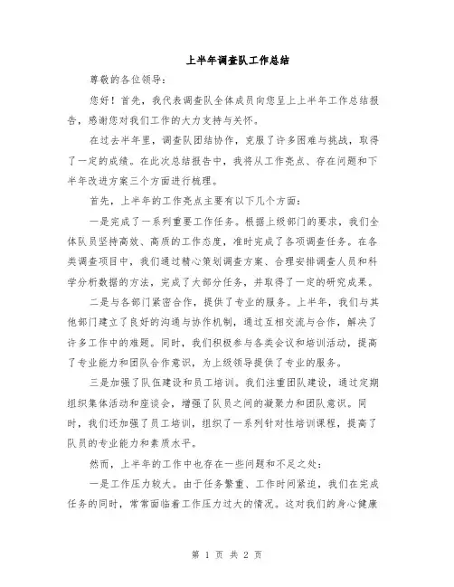 上半年调查队工作总结