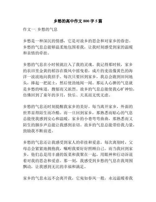 乡愁的高中作文800字5篇