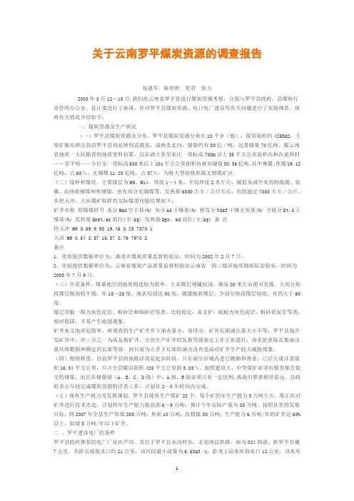 关于云南罗平煤炭资源的调查报告