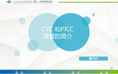 CVC-和PICC导管护理要点