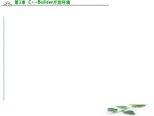 C++Builder基础介绍