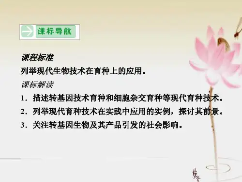 现代生物技术在育种上的应用课件ppt
