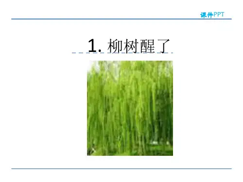 新鲁教版一年级语文下册《1柳树醒了》课件