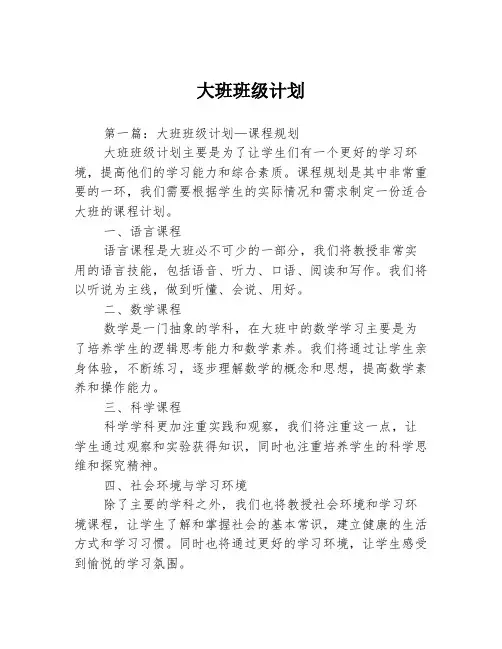 大班班级计划3篇
