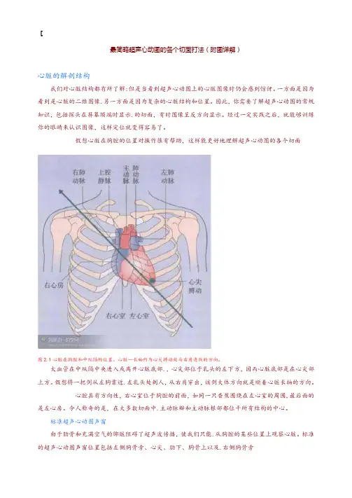 最简略超声心动图的各个切面打法