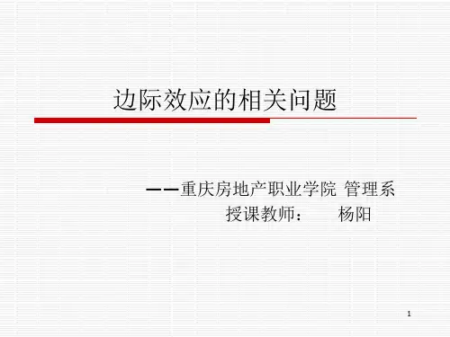 边际效应的相关问题PPT精选文档