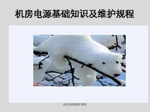 机房电源维护规程