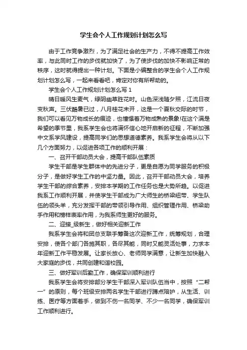 学生会个人工作规划计划怎么写