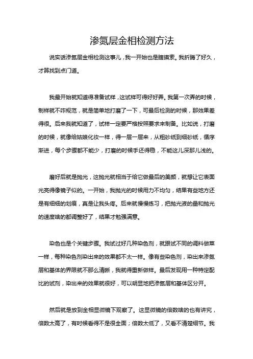 渗氮层金相检测方法