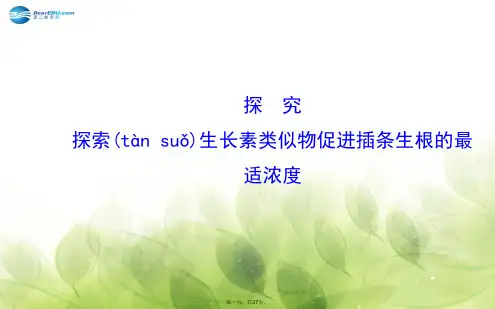 高考生物大一轮复习 第3章 探索生长素类似物促进插条生根的最适浓探究课件 新人教版必修3