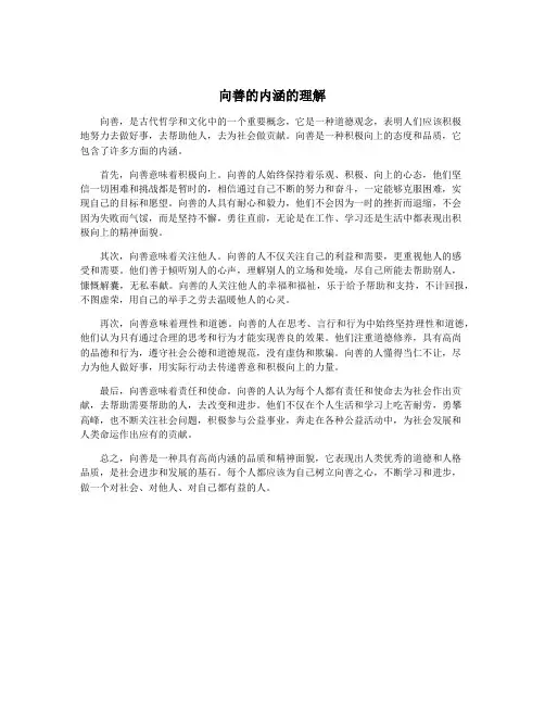 向善的内涵的理解