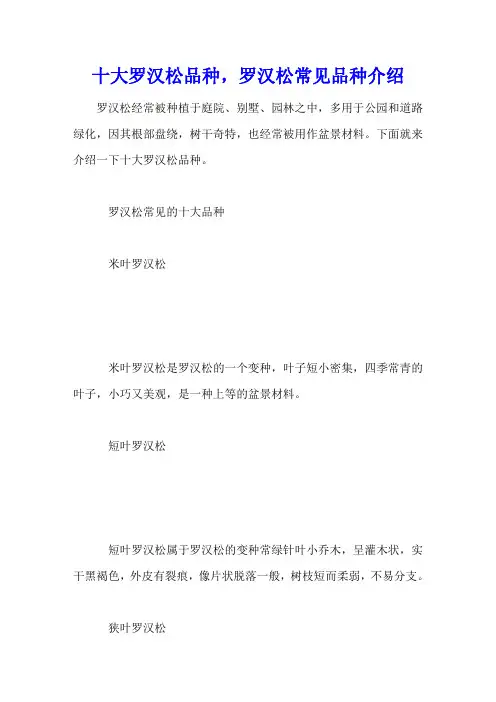 十大罗汉松品种,罗汉松常见品种介绍