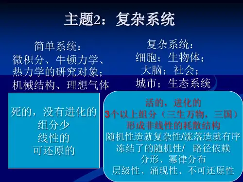 复杂系统