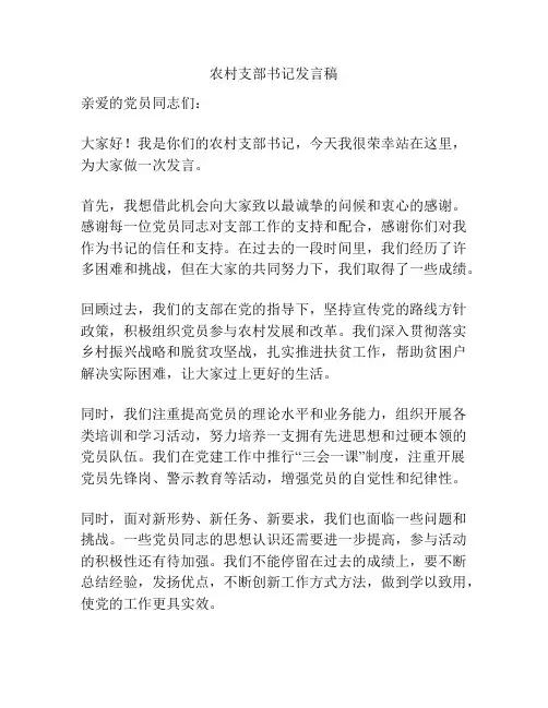 农村支部书记发言稿