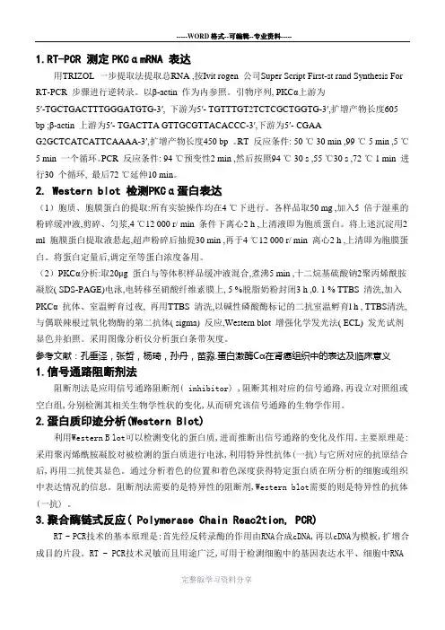蛋白激酶检测方法