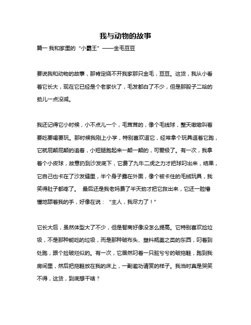 作文《我与动物的故事》