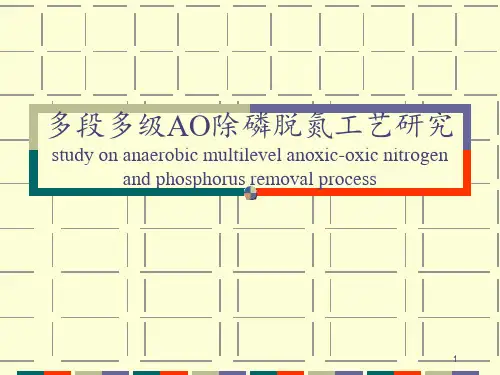 多段多级AO除磷脱氮工艺汇报 ppt课件