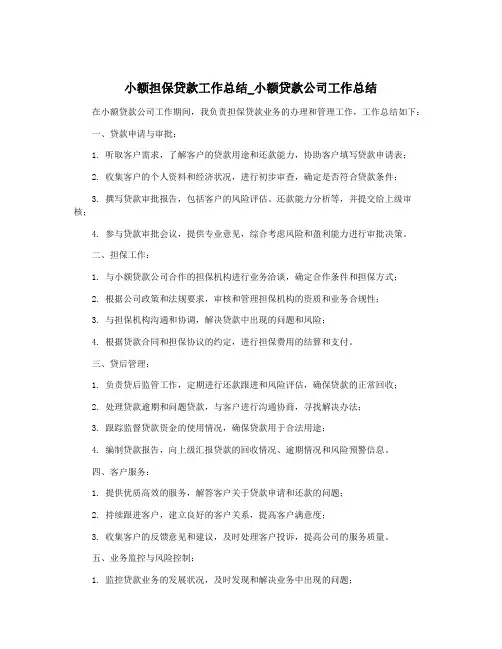 小额担保贷款工作总结_小额贷款公司工作总结
