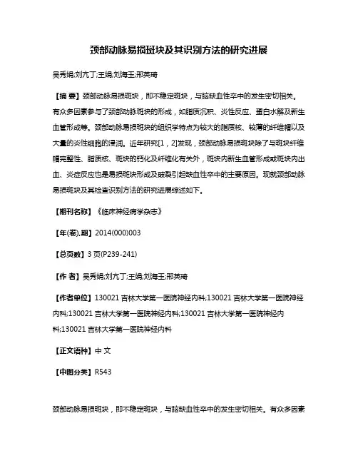 颈部动脉易损斑块及其识别方法的研究进展