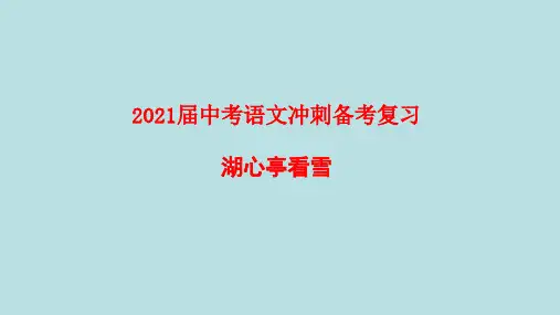 2021届中考语文冲刺备考复习《湖心亭看雪》