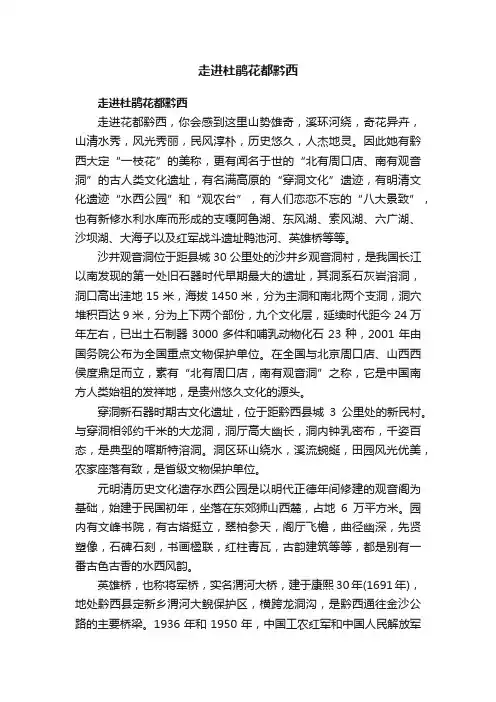 走进杜鹃花都黔西