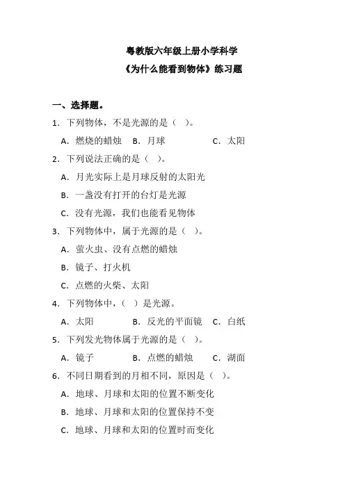 粤教版六年级上册小学科学《为什么能看到物体》练习题