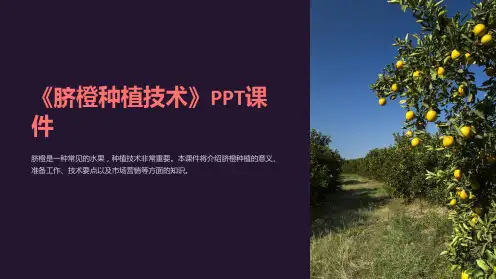 《脐橙种植技术》课件