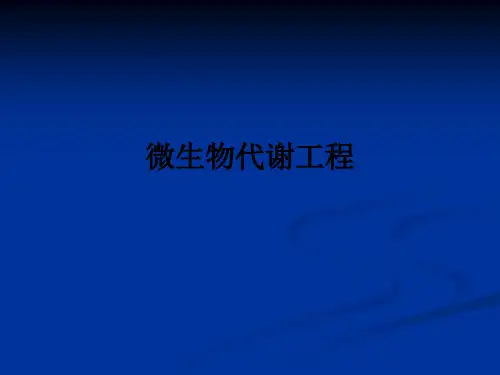 微生物代谢工程ppt课件