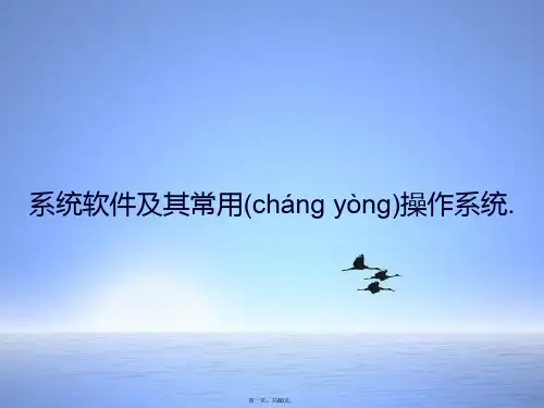 系统软件与其常用操作系统