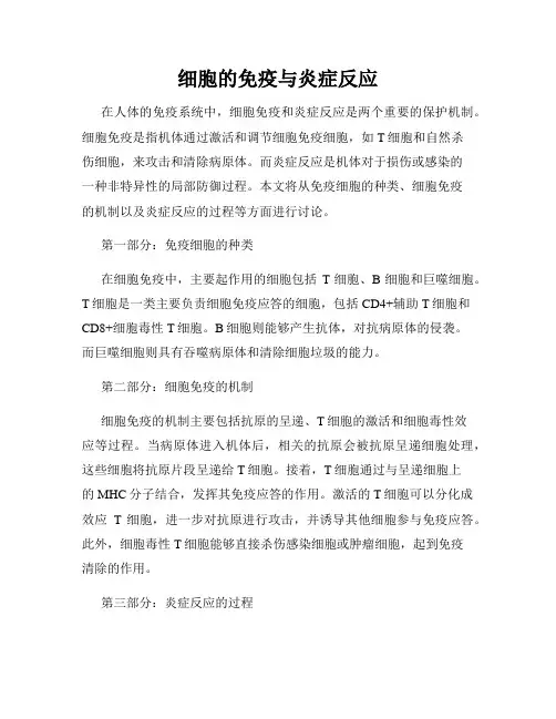 细胞的免疫与炎症反应