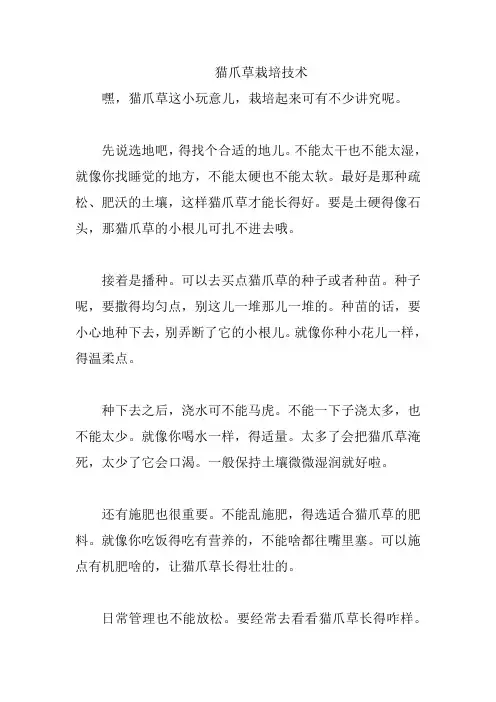 猫爪草栽培技术