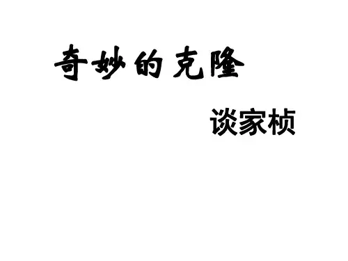八年级语文奇妙的克隆1