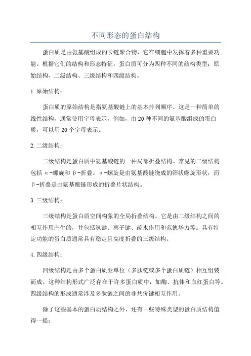 不同形态的蛋白结构