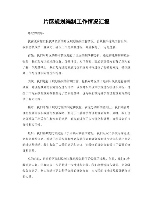 片区规划编制工作情况汇报