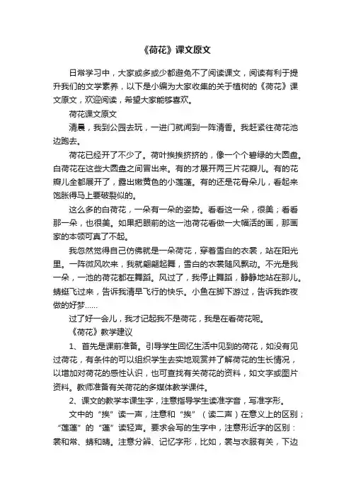 《荷花》课文原文