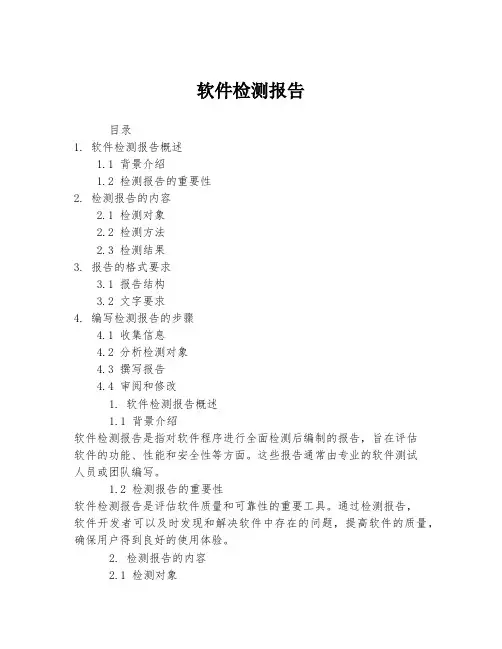 软件检测报告