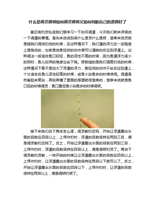 什么是调灵调顿如何调灵调顿又如何判断自己的漂调好了